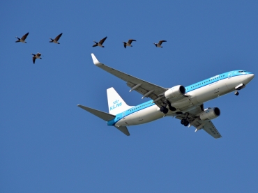 PH-BXM (30355) 2000 Boeing 737-8K2(WL)