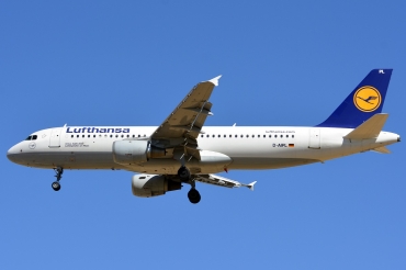 D-AIPL