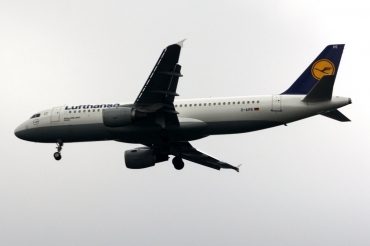 D-AIPE
