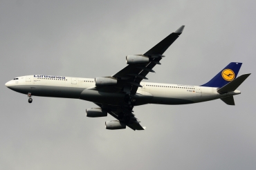 D-AIGT · Airbus A340-313 · (FRA / EDDF)