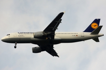 D-AIPL