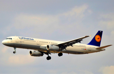 D-AIDB