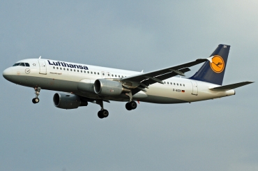 D-AIZH