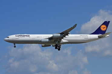 D-AIGZ · Airbus A340-313X · (FRA / EDDF)