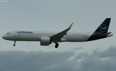 D-AIEB (8783) 2019 Airbus A321-271NX