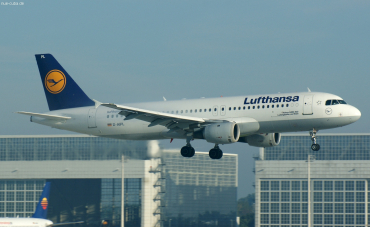 D-AIPL