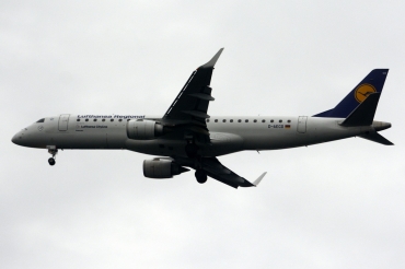 D-AECD
