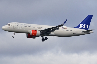 LN-RGL