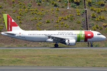 CS-TNG