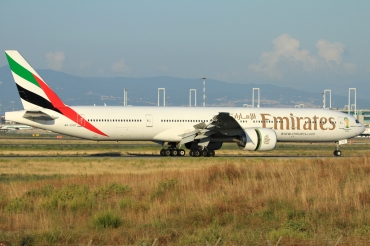 A6-EGD