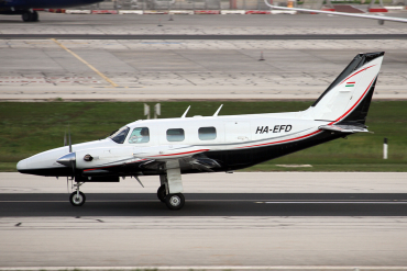 HA-EFD (31T8020063) Piper PA-31T