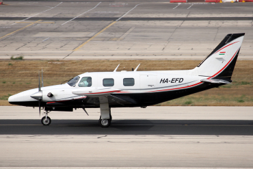 HA-EFD (31T8020063) Piper PA-31T