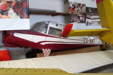 CS-ANT (128) OGMA/Auster D5/160