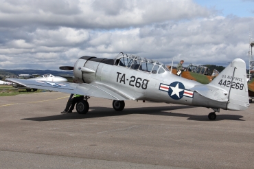 LN-TEX