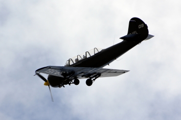 SP-YEL
