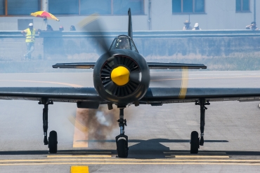 SP-YEL