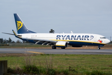 EI-DYT