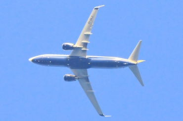 EI-DLC (33586) 2005 Boeing 737-8AS(WL)