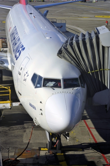 TC-JHU (42002) 2013 Boeing 737-8F2(WL)