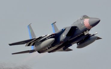 84-0010 (0919/C313) McDonnell Douglas F-15C Eagle
