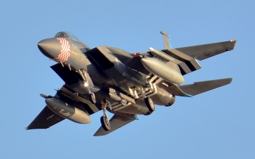 84-0010 (0919/C313) McDonnell Douglas F-15C Eagle