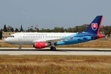 OM-BYA (2550) 2005 Airbus A319-115 CJ
