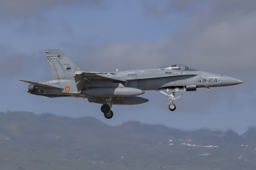 C.15-96 · McDonnell Douglas EF-18A · (LPA / GCLP)