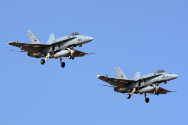 C.15-88 · McDonnell Douglas EF-18A Hornet · (LPA / GCLP)