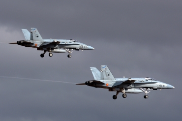 C.15-88 · McDonnell Douglas EF-18A Hornet · (LPA / GCLP)