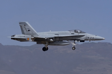 C.15-96 · McDonnell Douglas EF-18A · (LPA / GCLP)