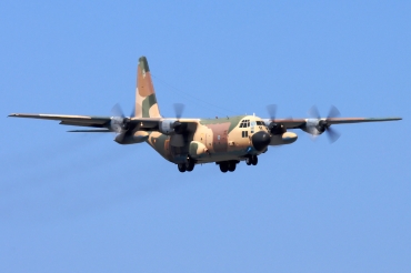T.10-08 / 31-05 1979 Lockheed C-130H Hercules