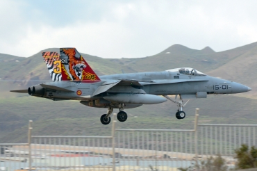 C.15-14 / 15-01 McDonnell Douglas EF-18A Hornet