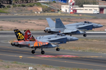 C.15-41 / 15-28 McDonnell Douglas EF-18A Hornet