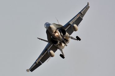 C.15-29 · McDonnell Douglas EF-18A Hornet · (LPA / GCLP)