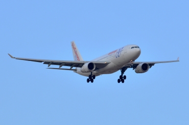 EC-LQO