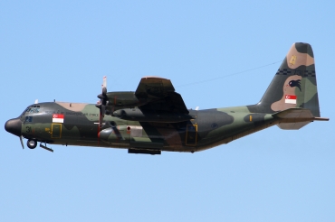 731 (382-4844) 1980 Lockheed C-130H Hercules
