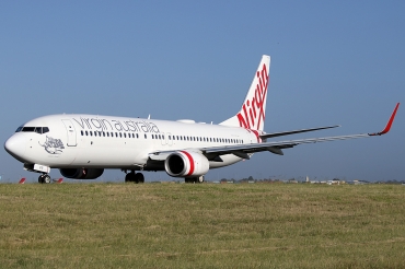 VH-YFP