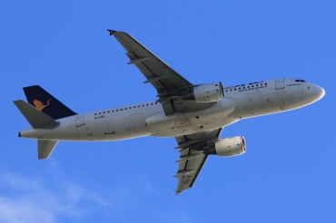 EI-DSL (3343) 2007 Airbus A320-216
