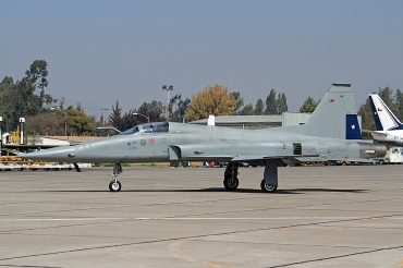 807 (I.1008) Northrop F-5E Tigre III